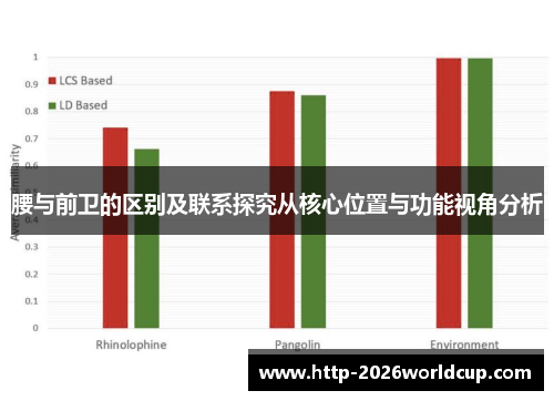 腰与前卫的区别及联系探究从核心位置与功能视角分析