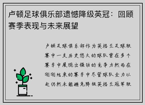 卢顿足球俱乐部遗憾降级英冠：回顾赛季表现与未来展望