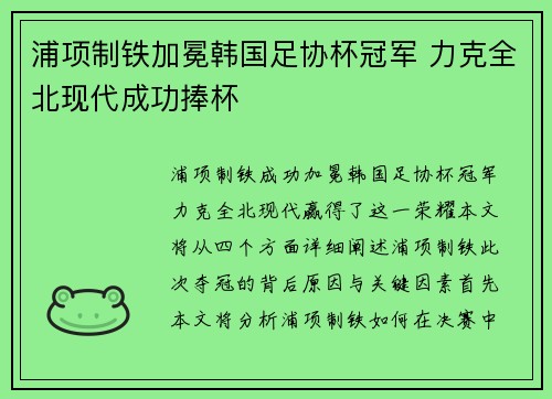 浦项制铁加冕韩国足协杯冠军 力克全北现代成功捧杯